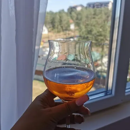 Apartament Sa Ljuljaskom Zlatibor