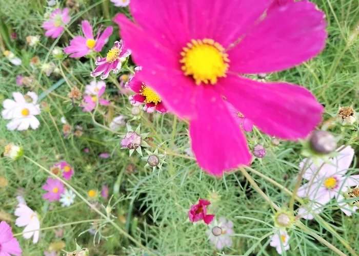 Sa Ljuljaskom 公寓